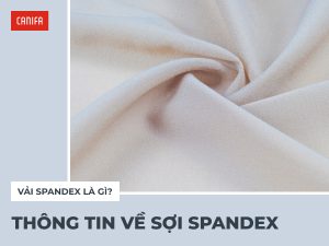 spandex là gì