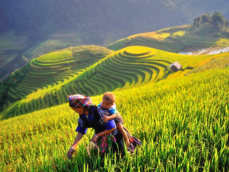 2/9 đi đâu chơi