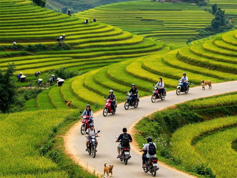 2/9 đi đâu chơi miền Bắc
