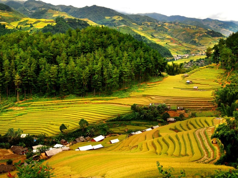 du lịch ngày 2/9