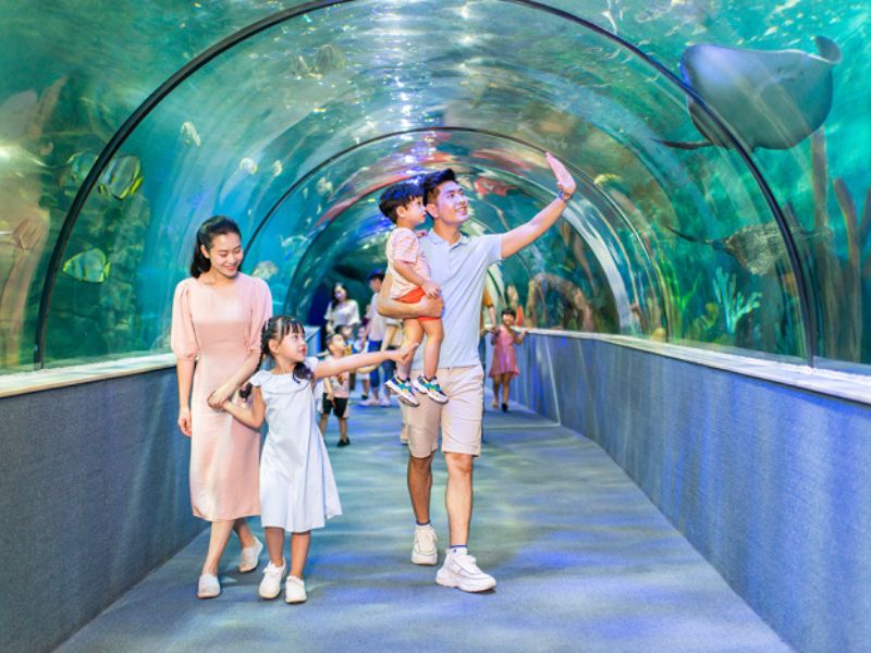 2/9 chơi gì ở hà nội