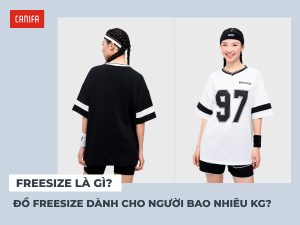 freesize là gì