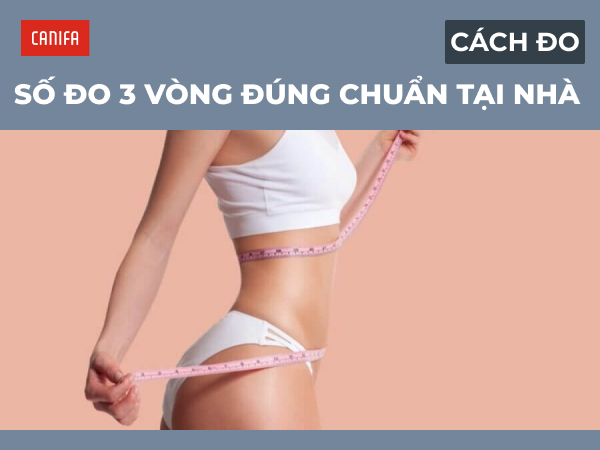số đo 3 vòng chuẩn
