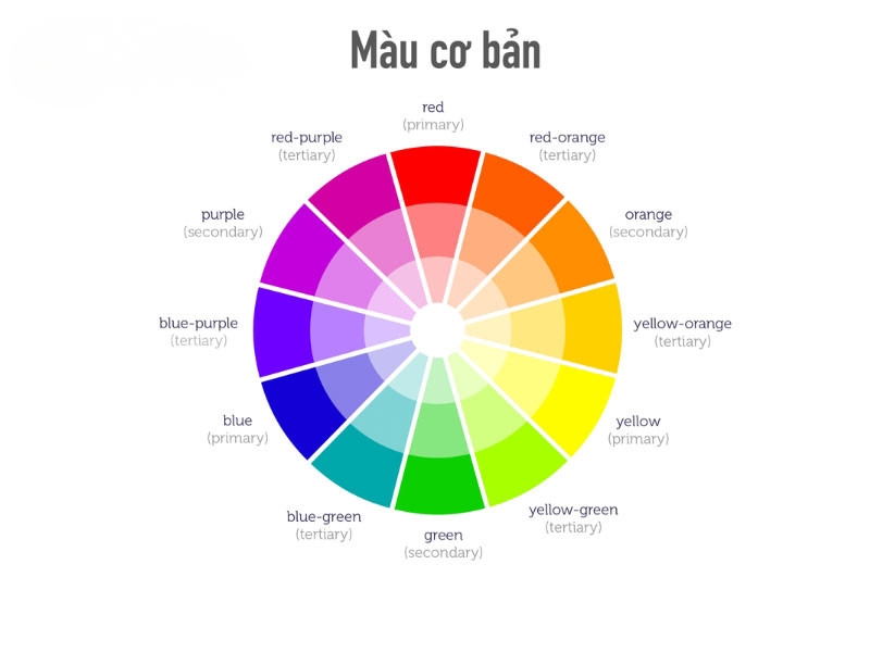 màu hồng phối với màu gì