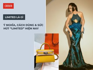 limited là gì