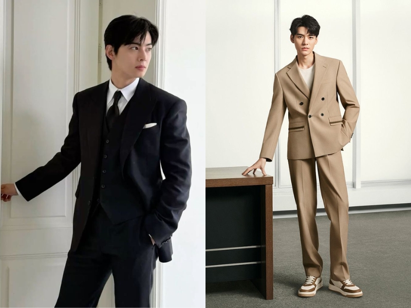 suits là gì