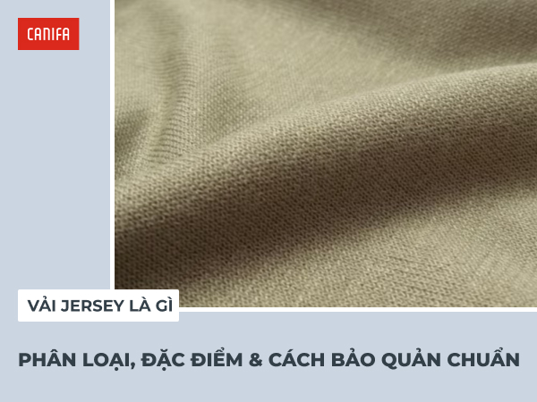 vải jersey là gì