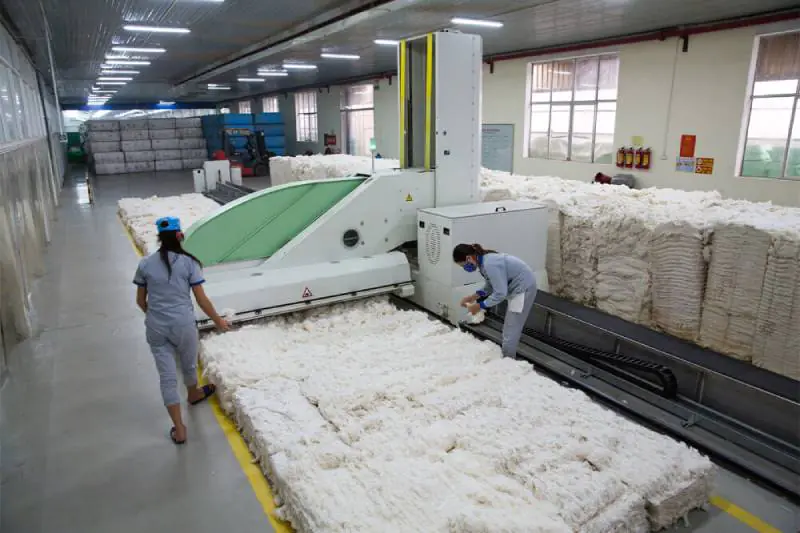 Nguồn gốc của vải nỉ bông